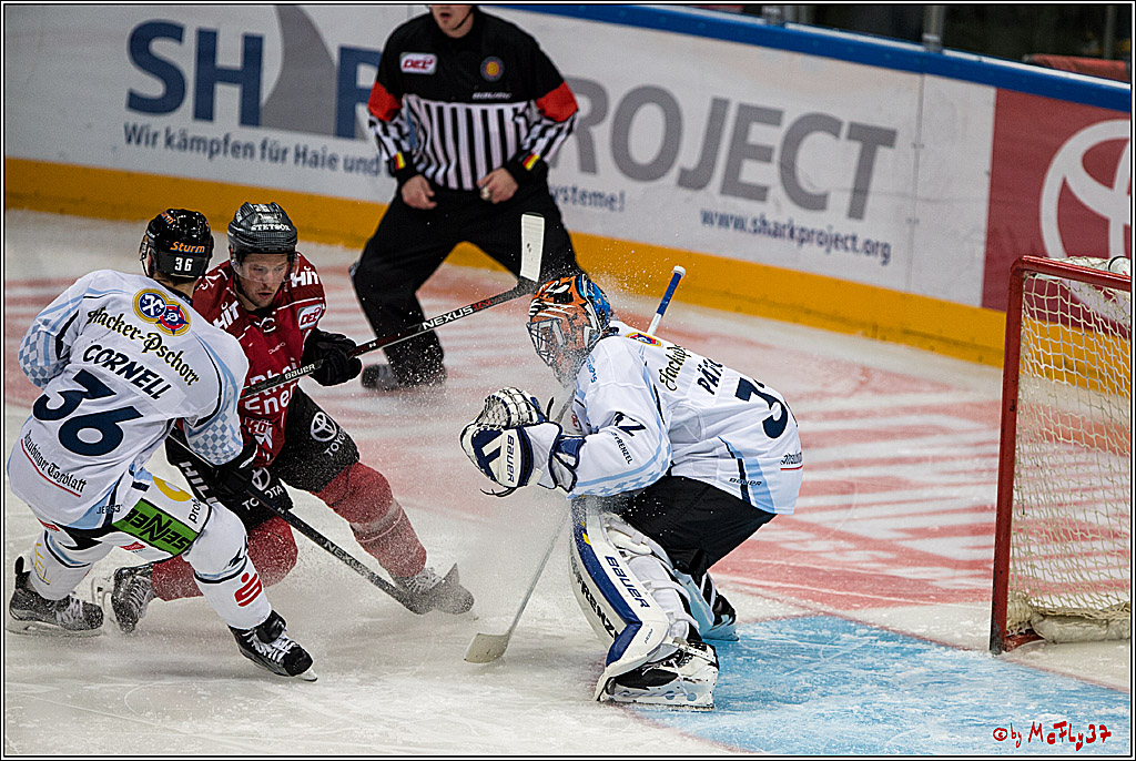 Koelner Haie - Straubing Tigers, 03.10.2016